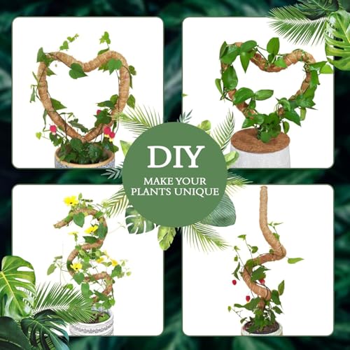 2 Pack 24 Inch Coco Coir Moss Poles for Climbing Indoor Plants - Handmade Plant Support for Creepers to Grow Upwards