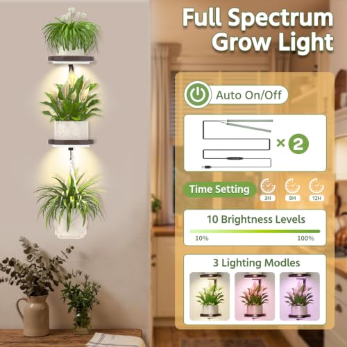 LASZOLA Plant Hanger Holder Shelf Wall Indoor with Lights, 2 Pcs Bronze - color: Classic Brown, size: 2