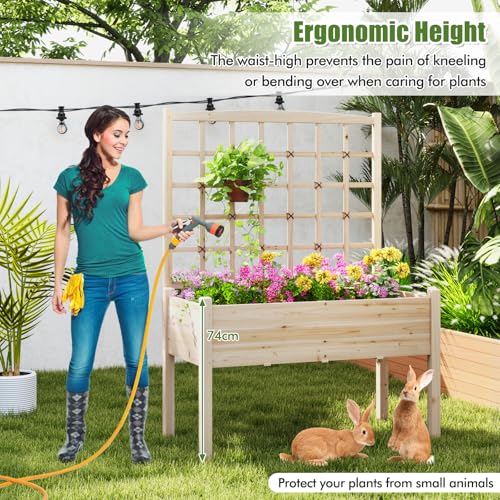 HAPPYGRILL Raised Garden Bed with Lattice Trellis & Legs - size: 47" x 24" x 63"