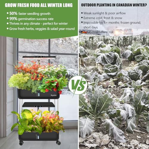 Large Hydroponics Growing System Kit,44-Pod with 3 Seed Packs - size: 2-Tier