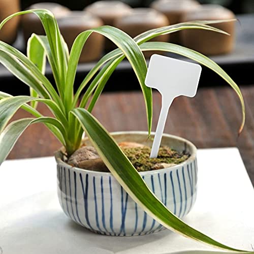 KINGLAKE GARDEN Large Plastic Plant Labels 6 Inch 50 Pack White Extra Large