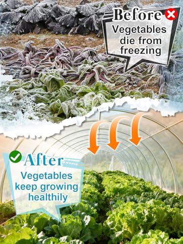 Alphatool 10 x 20 ft Greenhouse Cover Plastic Sheeting for Outdoor Plants - size: 10 x20 ft