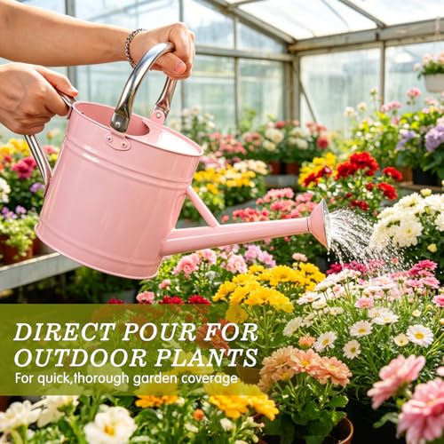 1 Gallon Watering Can for Outdoor&Indoor Plants，Pink - color: Pink