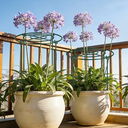 QwayHome 6Pack Peony Cages and Supports 33''H x 13''D Grow Through Large Plant Support, Adjustable High, Heavy Duty, Rust-Resistant, Round, Flower Support Cage Ring for Rose Tomato Hydrangea - size: 6Pack- 13"D x 33"H