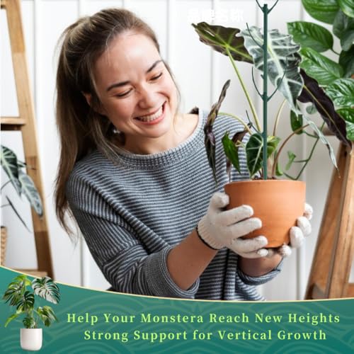 4 Pack Stackable Monstera Plant Support Stakes, 29inch Climbing Plant Sticks Structures with Garden Ties, Durable Alternative to Moss Pole for Indoor Outdoor Plants - size: 4 Pack