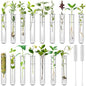 16 Pcs Clear Plant Propagation Tubes 20ml Plastic Test Tubes