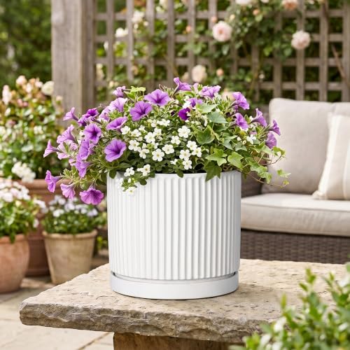 10 Inch Plant Pot, Ceramic Planters, Round Flower Pots, White - color: White, size: 10 Inch