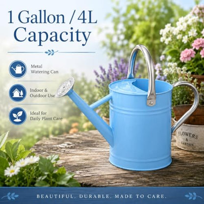1 Gallon Metal Watering Can for Indoor Outdoor Plants, Blue - color: Blue