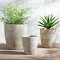 17.7"+13.7"+11.4" Weathered Concrete Planters with Drainage Hole Set of 3 - color: Gray, size: Set of 3