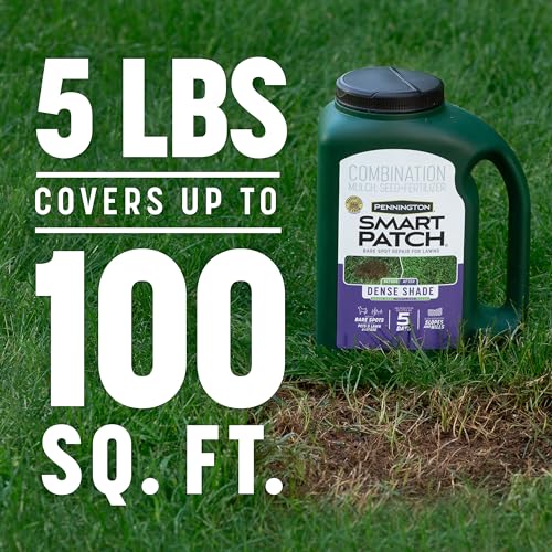 Pennington Smart Patch Dense Shade Grass Seeds for Lawn, 5 lb - size: 5 lb