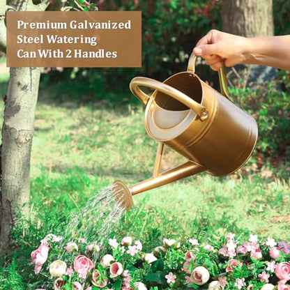 Gold Watering Can for Outdoor&Indoor Plants，1 Gallon - color: Gold