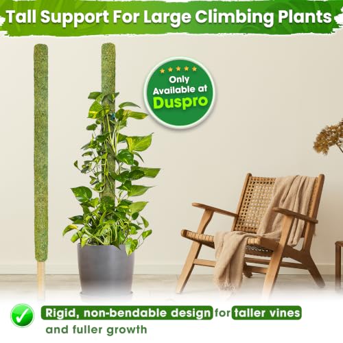 DUSPRO 59" Large Green Mesh Moss Pole Monstera Plant Support, (1pc., 59'') - size: 59" GREEN MESH MOSS POLE