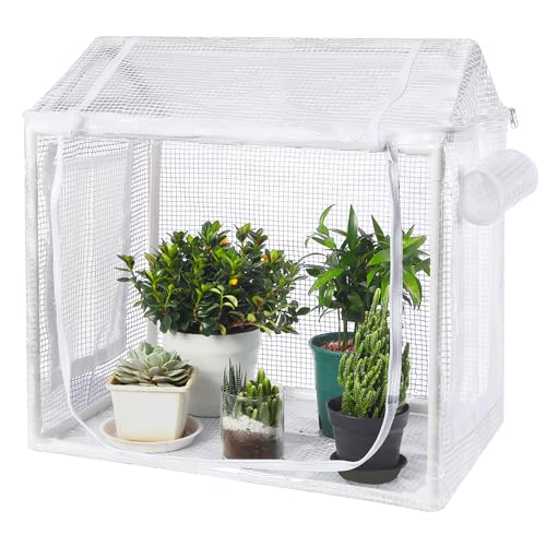Fully Enclosed Mini Indoor Greenhouse with Top Opening