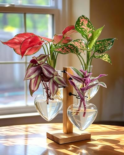 Plant Propagation Stations with Wood Stand, 4 Vases Love Shape - color: Love