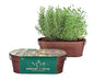 Buzzy Seeds Rosemary & Thyme Herb Grow Kit, Copper Windowsill Planter - color: Copper