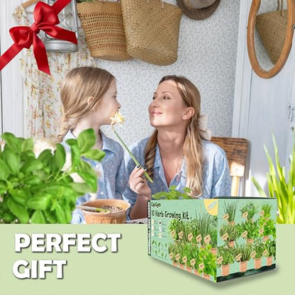 10 Herb Window Garden Kit Indoor, Complete Growing Kit with Pots & Soil