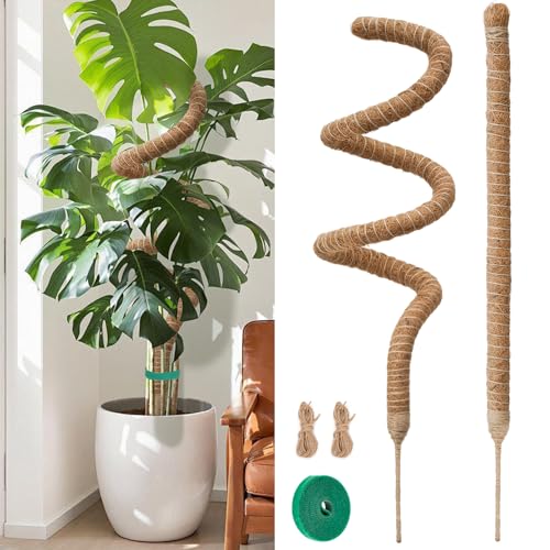 Moss Pole Monstera Plant Support 2 Pack 63 Inch Bendable Monstera Support - size: 63 in (2 Pack)