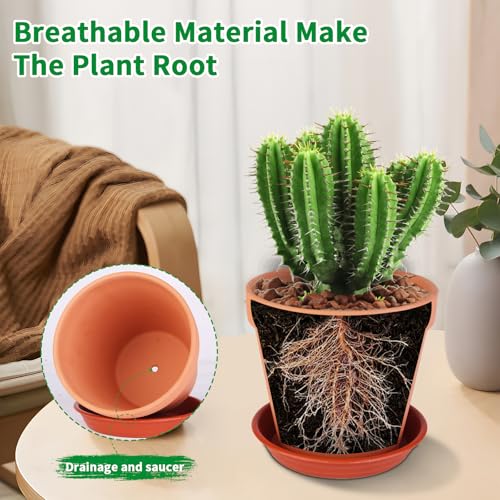 6 Pack 6 Inch Terracotta & Clay Pots with Saucer for Plants