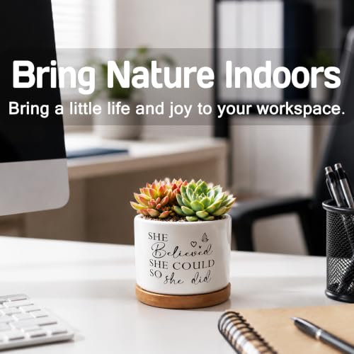 Inspirational Decor Plant Pots for Women, She Believed Could So She Did Encouragement Ceramic Succulent Flower Planters(No Plants)