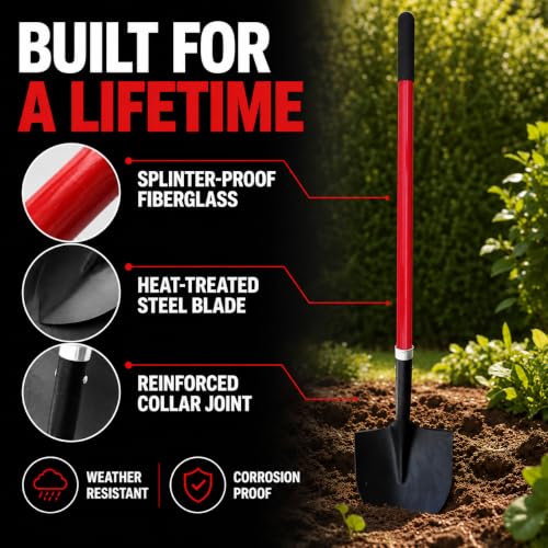 TABOR TOOLS J202A Round Point Digging Shovel with Long 56 Inch Fiberglass Handle, Garden Spade for Digging Soil, Roots & Planting, Less Back Strain - size: Straight Handled, Round Blade