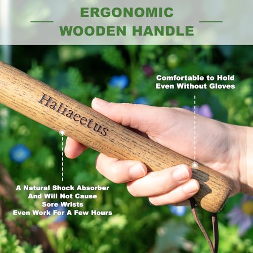 Haliaeetus Triangle Head Hoe, 15'' Scuffle Hoe for Weeding in Raised Bed - size: 15'' Triangle Head Hoe