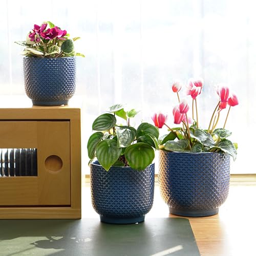4 + 5 + 6 Inch Ceramic Pots for Indoor Plants, Succulents Plant Pots, Orchid Flower Pot with Drainage Hole, Modern Clay Stoneware Planters, Set of 3 (Dusty Blue, 4+5+6 Inch) - color: Dusty Blue