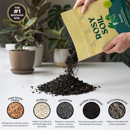Rosy Soil Aroid Soil Mix, Chunky Biochar Potting Mix, 4 Quarts - color: Aroid, size: 4 Quarts