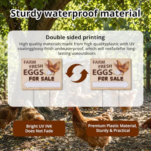 Eggs for Sale Sign Double Sided Farm Fresh Eggs Sign