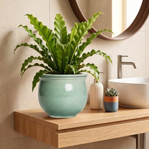 Ceramic Self Watering Planter, 8 Inch African Violet Pots, Green - color: Green, size: 8 Inch