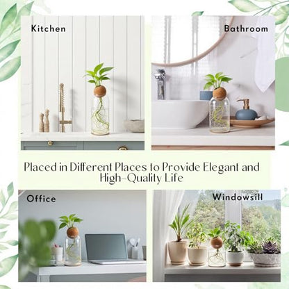 Baderke 3 Pcs Glass Plant Propagation Vase W/Hole Stopper and Pad