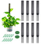 Stackable Small Moss Pole for Monstera Pothos, Fillable Support - size: 8pack,small,black