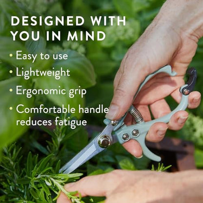 Modern Sprout Pruning Shears - Garden Snips - Herb Scissors - Multi 4-Pack - color: Multicolor - 4pcs