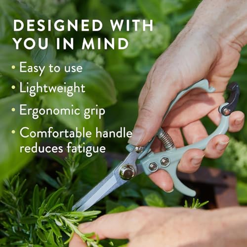 Modern Sprout Pruning Shears - Garden Snips - Herb Scissors - Multi 12-Pack - color: Multicolor - 12pcs