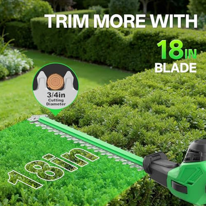 SOYUS 2-in-1 8-Inch Pole Saw & 18-Inch Pole Hedge Trimmer 2x 3.0Ah Battery - color: Clover Green