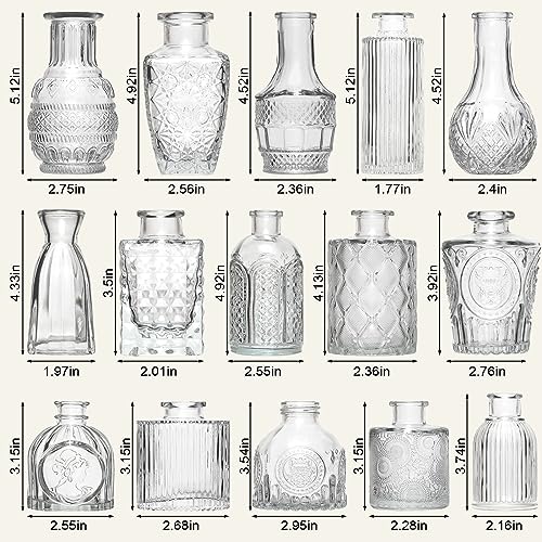 Arme Glass Bud vases in Bulk，Small Glass Flower Vase for Centerpieces 16Pcs - color: Clear-16pcs, size: 16 Pcs