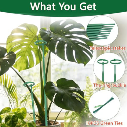 Telescoping Monstera Plant Stakes, 12.5-48.4IN Indoor Plant Support- 3Pack - size: 3pcs