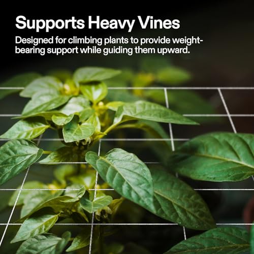 VIVOSUN Trellis Netting Heavy-duty Polyester 5'x30' 1 Pack - size: 5'x30' - 6''square mesh