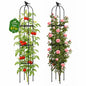 FOLLOOK Garden Obelisk Trellis for Climbing Plants Outdoor, 2 Pack - color: 67"-Black-2PK