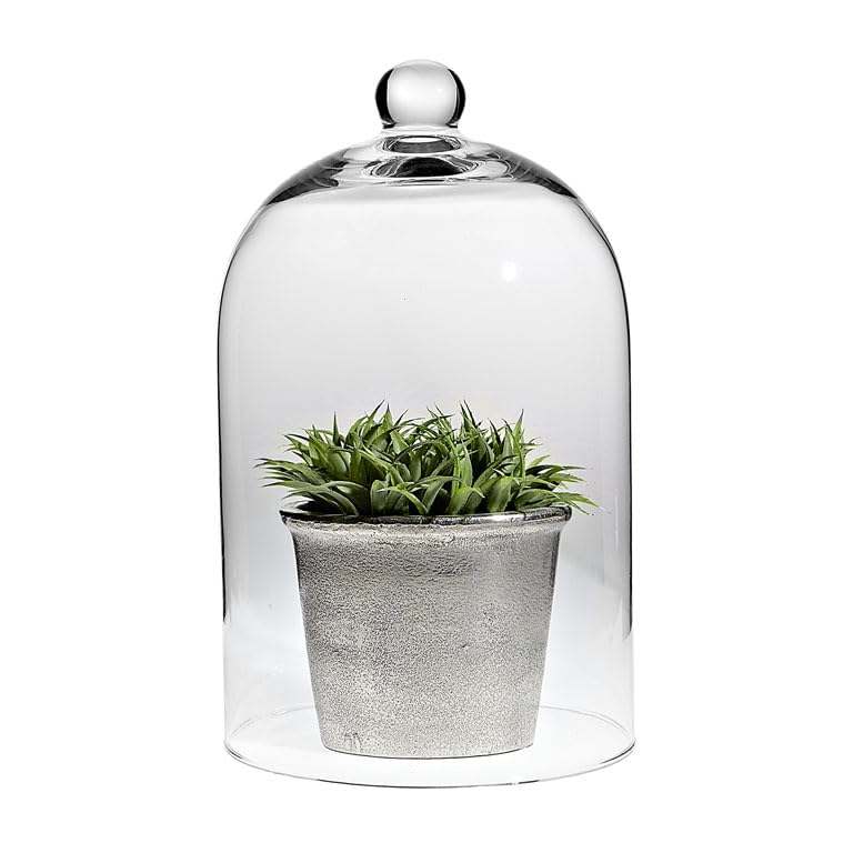 Abbott Collection Classic Shaped Cloche - size: 10 inches H
