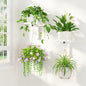 LASZOLA Plant Hanger Holder Window Shelf Wall Mounted Indoor, 2 Pcs White - color: White, size: 2