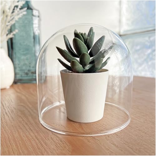 Plymor 4" x 4" Glass Display Dome Cloche (no Base) - color: No Base