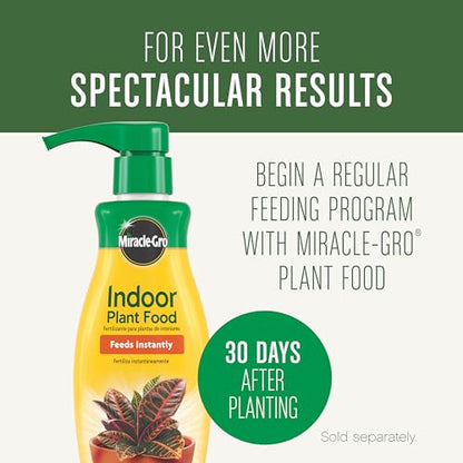 Miracle-Gro Houseplant Potting Mix, 4 qt. (2-Pack) - size: 2 Pack, style: Houseplant