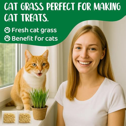 5Pack Cat Grass Seeds Growing Kit for Indoor Cats