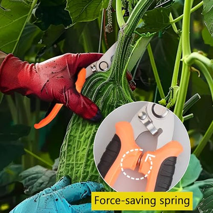 3Pcs Stainless Steel Garden Pruning Shears for Plants (Multicolor） - color: Multi-color