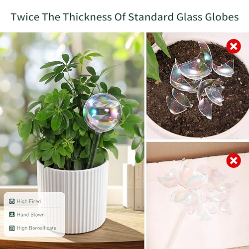 Soilagua Rainbow Plant Watering Globes, Extra-Thick Glass, 4 Pack - size: Regular – 4 Pack