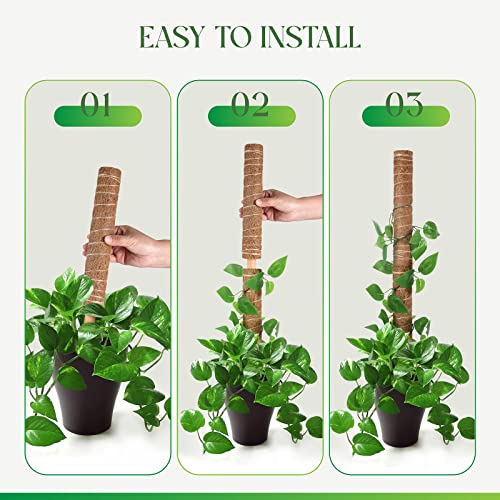 Pisol Moss Pole for Plants Monstera, Extendable Plant Sticks Support, 2Pcs