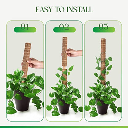 Pisol Moss Pole for Plants Monstera, Extendable Plant Sticks Support, 2Pcs