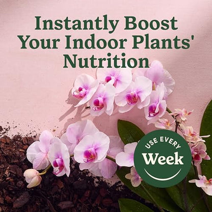 Miracle-Gro Indoor Plant Food Mist for Orchids, 8 fl. oz. (2-Pack) - style: Orchid Mist