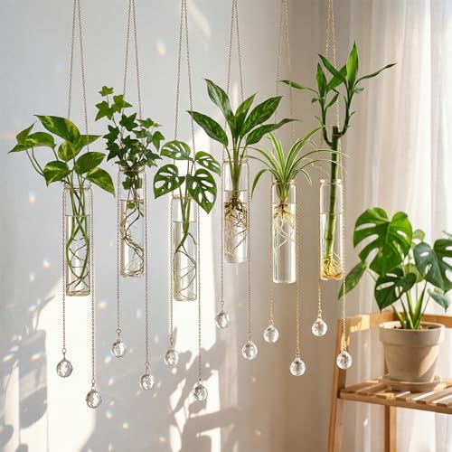 Hushee 6 Pcs Hanging Propagation Stations with Crystal Suncatcher