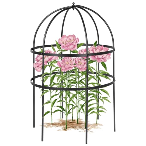 1 Pcs Jardin Bird Cage Plant Support 24" H Large Sturdy Grow-Through Flower Support Peony Cage Climbing Plant Support Trellis Sculptural Garden Decor for Perennial Flowers (Black) - color: Black, size: 1 Pcs